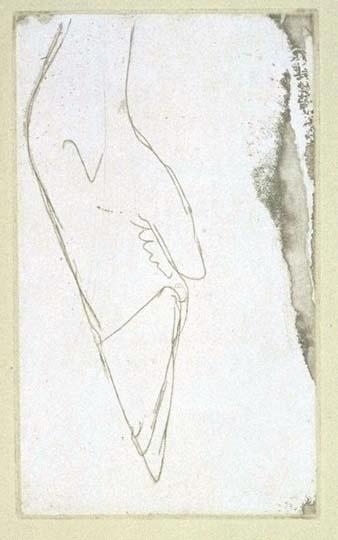 Joseph Beuys - JOSEPH BEUYS RADIERUNG NACHLASS HIRSCHFUSS verkocht voor € 329!