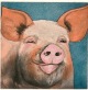 Karin Kneffel - Karin Kneffel: Tierportrait Schwein, Farbradierung, handsigniert. verkocht voor € 160!