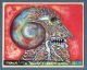 Bernhard Jäger - KLEINER KOPF - OriginalLithographie 1978 handsigniert verkocht voor € 54!