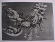 Reinhard Drenkhahn - Krebs, Radierung mit Aquatinta, ca. 1957 verkocht voor € 50!