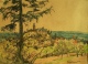 Fritz Wucherer (1873-1948)