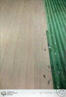 Andreas Gursky - Kunstposter (aufgelegt anlässlich der Fußball WM 2006) verkocht voor € 70!