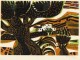 Alfred Pohl - Landschaft in Kolumbien, DreiFarbenHolzschnitt, signiert, 1981 verkocht voor € 45!