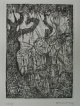 Paul Eliasberg - Landschaft mit Platane II, Radierung vernis mou, 1976, signiert, nummeriert verkocht voor € 70!
