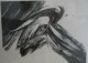 Karl Otto Gotz - Litho verkocht voor € 800!