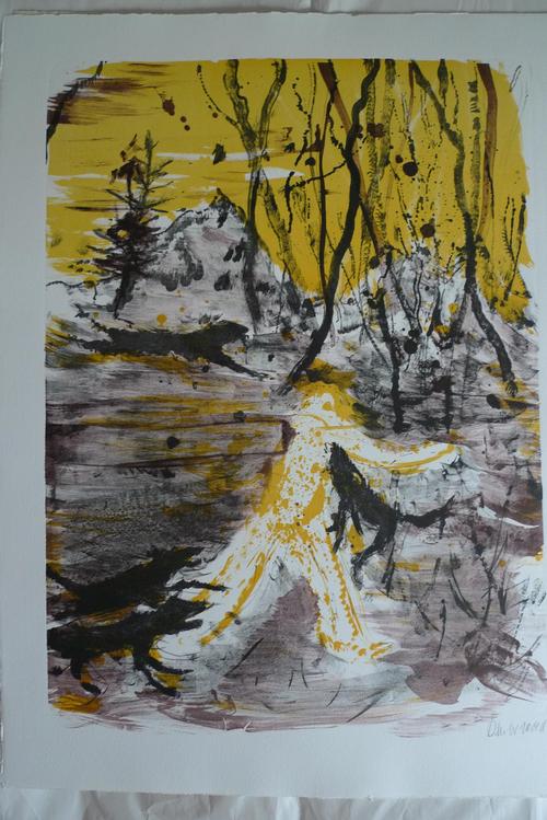 Daniel Richter - Lithographie verkocht voor € 405!