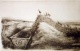 A. Paul Weber - Lithographie Das Verhängnis verkocht voor € 600!