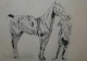 Max Liebermann - Max Liebermann - Original Radierung - Reitpferd signiert verkocht voor € 400!