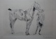 Max Liebermann - MAX LIEBERMANN - Orig.Radierung v.1912 "Reitpferd&quot; SIGNIERT verkocht voor € 600!
