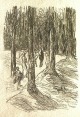 Max Liebermann - orig. Holzschnitt auf Bütten von 1922 verkocht voor € 40!