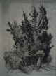 Lea Grundig - Original Aquarell von Lea Grundig verkocht voor € 80!