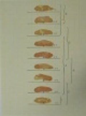 Juan Hernandez Pijuan - Original - Farblithografie von 1979 kopen? Bied vanaf 35!