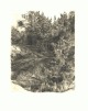 Ludwig Meidner - Original Radierung 1927 (1964), "WALDWEG&quot;, signiert verkocht voor € 120!