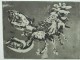 Reinhard Drenkhahn - Original Radierung, signiert verkocht voor € 60!