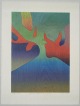 Franz Eggenschwiler - Originalholzschnitt von 1996, handsigniert, epreuve d'artiste verkocht voor € 160!