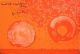 Otto Piene - Originallithografie von 1977, handsigniert verkocht voor € 150!