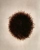 Arnulf Rainer - o.T., Radierung, 1971, handsigniert., datiert, nummeriert verkocht voor € 600!