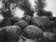 Paul W. John - Paul W.John, OriginalPhotographie,Altmark, um 1930 verkocht voor € 85!