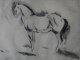 Edwin Scharff - Pferd - sign. und nummerierte (2 von 3) Radierung von 1914 - sehr selten verkocht voor € 119!