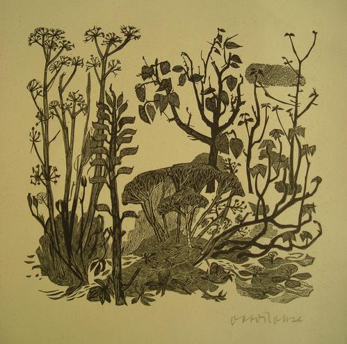 Otto Rohse - Pflanzen, Holzstich, handsign. kopen? Bied vanaf 60!