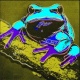Andy Warhol - Pine Barrens Tree Frog. Limitiert. verkocht voor € 65!