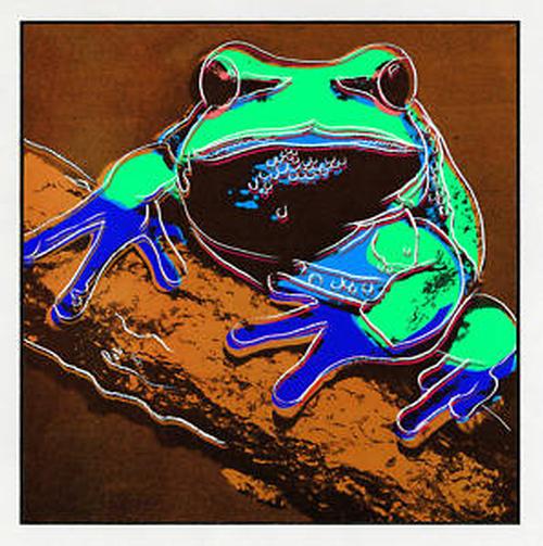 Andy Warhol - Pine Barrens Tree Frog. Limitiert. verkocht voor € 65!