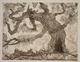 Paul Eliasberg - Prometheus II, Radierung vernis mou und Aquatinta, 1971/81, signiert verkocht voor € 80!