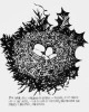 Raymond Pettibon - "You have still...&quot; - Grossformatiger Siebdruck - sig/num - 2002 kopen? Bied vanaf 380!