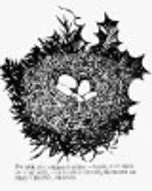 Raymond Pettibon - "You have still...&quot; - Grossformatiger Siebdruck - sig/num - 2002 verkocht voor € 380!