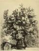 Jules Jacquemart (1837-1880)