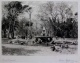 Theodor Alphons (1860-1897)