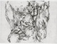Wieland Förster - Radierung, o.T. (Gesteinsformation, Paar), 1980. verkocht voor € 90!