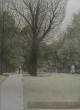 Harold Altman - Radierung, signiert, Path with pigions verkocht voor € 130!