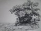 Otto Quante - Radierung, signiert u. numeriert, Gänseliesl verkocht voor € 130!