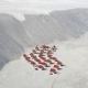 Thomas Wrede (1963)
