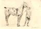 Max Liebermann - Reitpferd, Radierung, Größe des Bildes: 22 x 15 cm verkocht voor € 102!