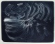 Hans Hartung - riesige Litho, L-10-1973, signiert, nummeriert verkocht voor € 520!