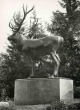 Paul W. John - ROMINTE, ROMINTEN & ROMINTER HEIDE - 3 OriginalFotographien + BUCH OSTPREUßEN 1939: Fotos: P.W.JOHN verkocht voor € 125!
