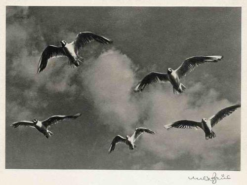 Max Baur (1898-1988)