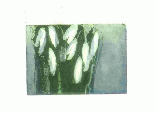 Klaus Fussmann - SCHNEEGLÖCKCHEN--col.Radierung--handsign.--2004 verkocht voor € 110!