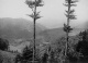 Paul W. John - SCHWARZWALDLANDSCHAFT - Original Vintage / Handabzug auf kartonstarkem Fotopapier verkocht voor € 35!