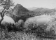 Paul W. John - SCHWEIZ - FRÜHLING AM LUGANER SEE - Original Vintage / Handabzug auf kartonstarkem Fotopapier verkocht voor € 35!