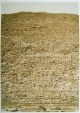Andreas Gursky - SIGNIERT - Cheops 2008 - Vorzugsausgabe ca. 200 Exemplare verkocht voor € 395!