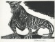 Karl-Heinz Hansen-Bahia - Tiger,Holzschnitt,1959 verkocht voor € 35!