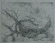 Paul Eliasberg - Toter Feigenbaum. Radierung von 1967 verkocht voor € 60!