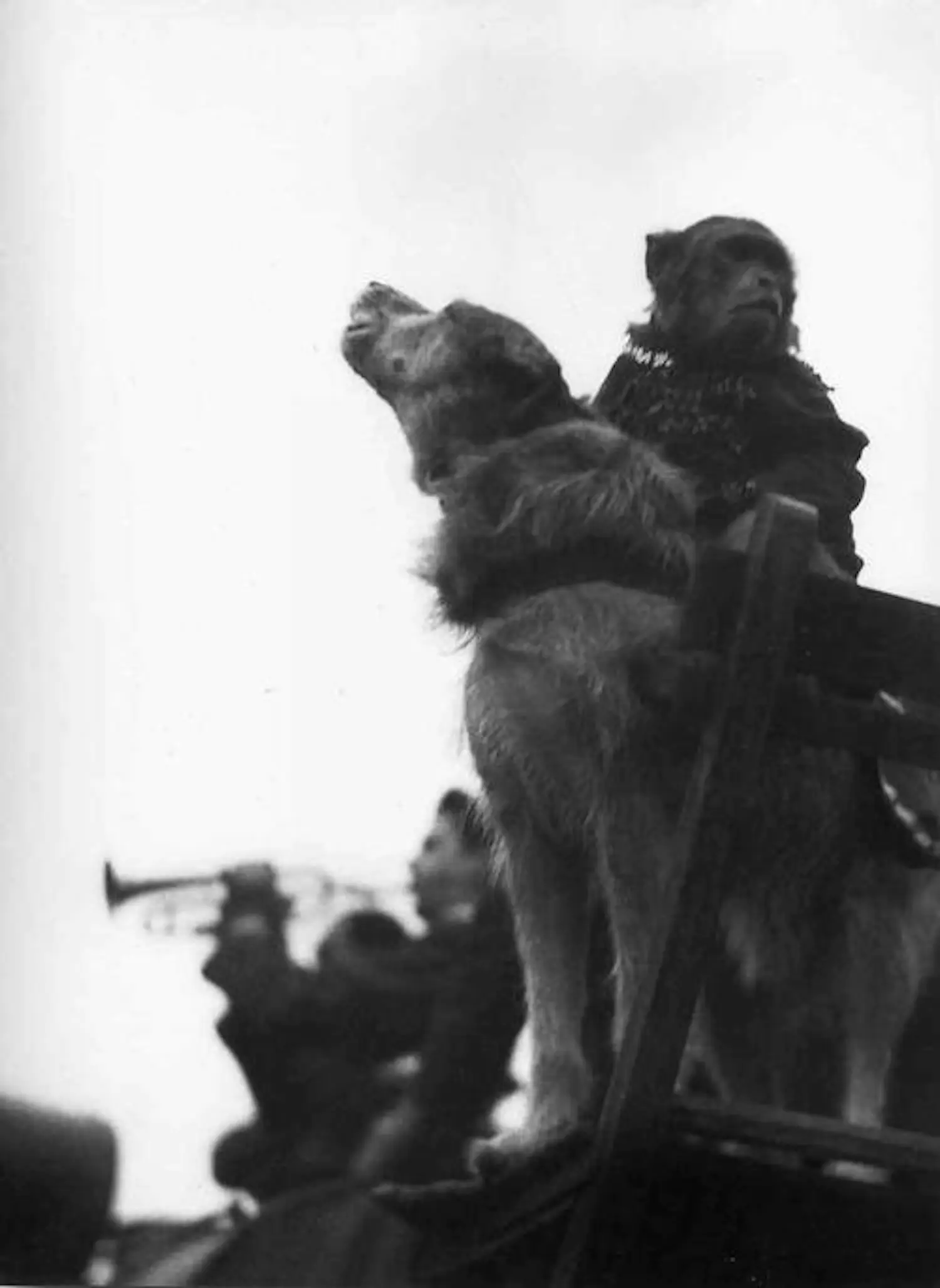 Tibor Honty (1907-1968)