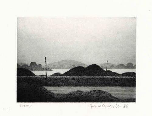 Hans Sperschneider - TRYGGELEV NOR - OriginalRadierung des Edwin-SCHARFF-PreisTrägers, 1986, numeriert datiert signiert verkocht voor € 45!