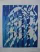Stanley William Hayter - Voiles Farbradierung 1975 verkocht voor € 980!