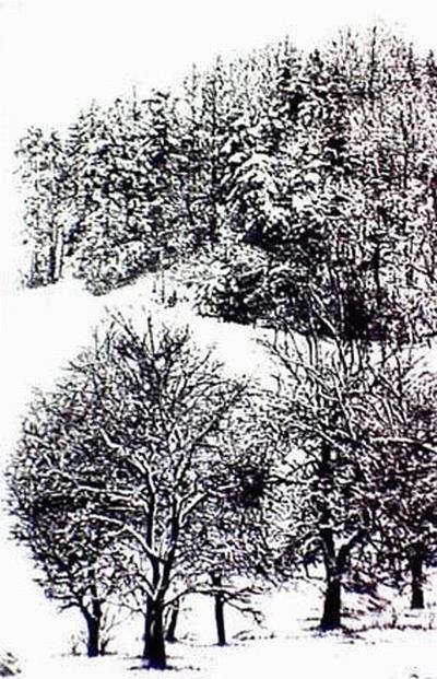 Christoph NAPP-ZINN - 'Winterlandschaft', Kaltnadel-Radierung, handsign., datiert + num. kopen? Bied vanaf 25!