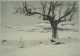 Felix Hollenberg - Winterlandschaft, Radierung von 1905 verkocht voor € 75!